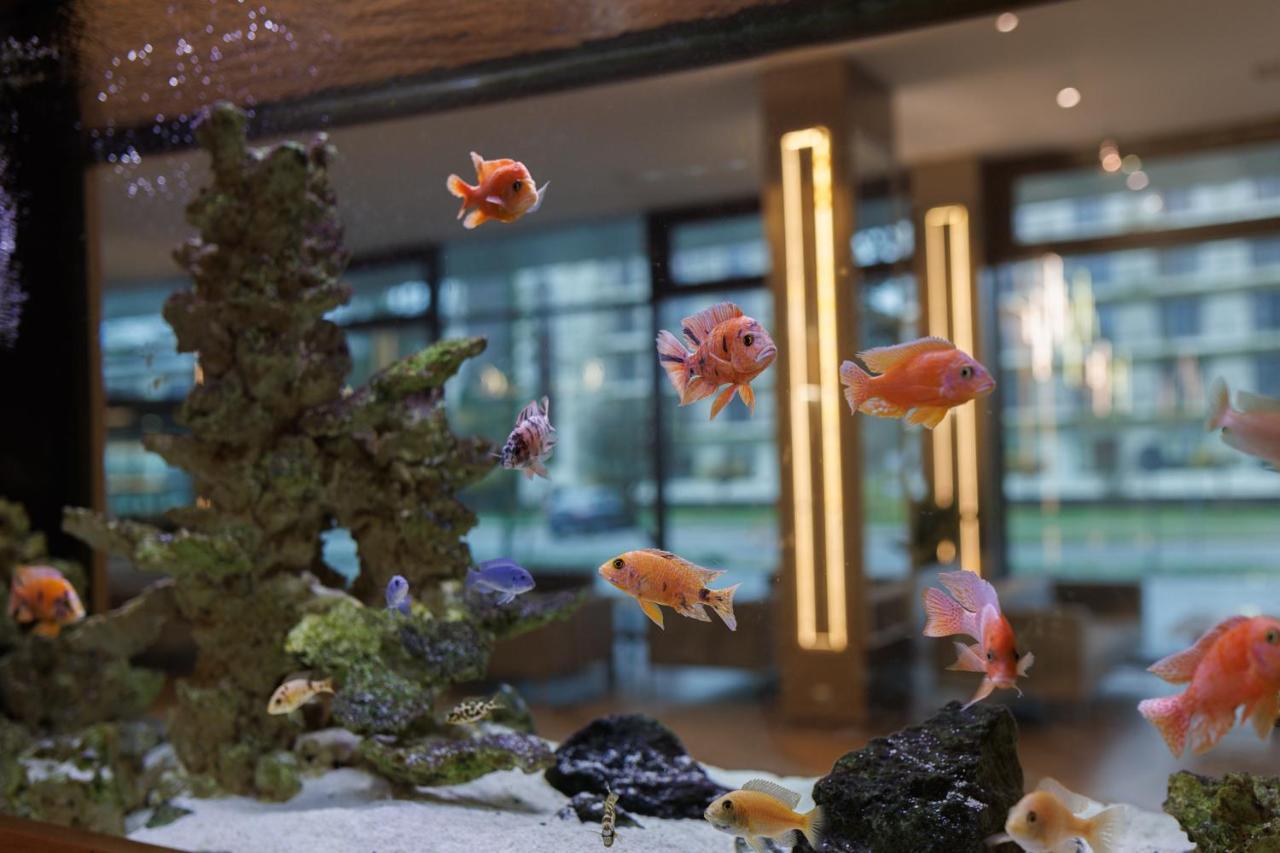 Olymp IV Hotel Колобжег Екстериор снимка